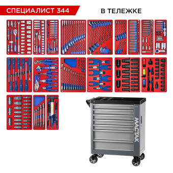 Набор инструментов "СПЕЦИАЛИСТ 344" в красной серой, 344 предмета МАСТАК 50-07344G
